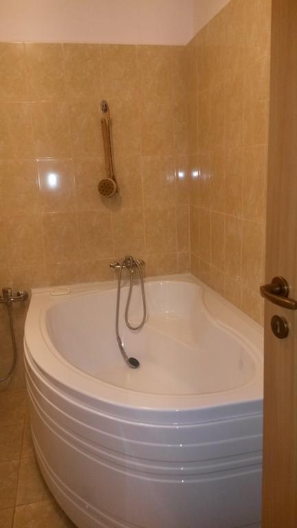 Otopeni Therme Airport Apartment Номер фото